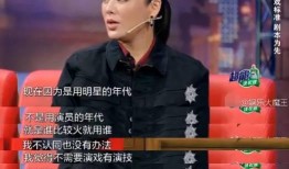 宁静采访爆料视频完整版,揭秘娱乐圈幕后真相与个人心路历程